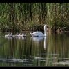 20120528_020